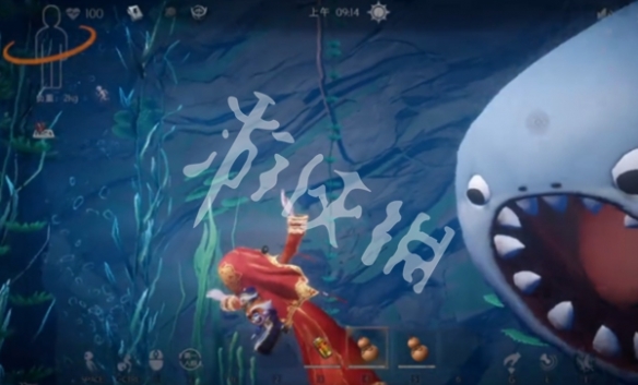 网5