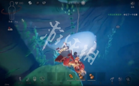 网4